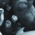 old habits640x290